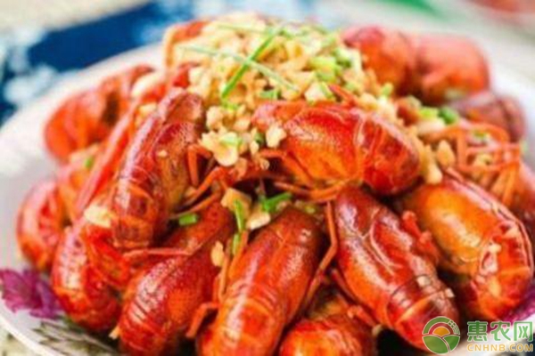 小龍蝦養(yǎng)殖的3大容易忽略的誤區(qū)
